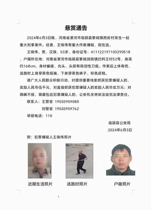 中国有没什么比较离奇的刑事案件「2天抓获613名嫌疑人案件」 iPhone7