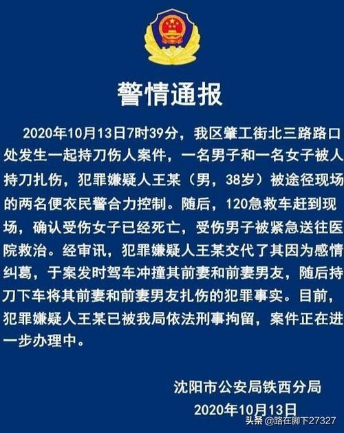 10月13日沈阳街头一女子被砍身亡，发生了什么？还有哪些信息值得关注「女子从13楼坠落生还视频」 AirPodsPro